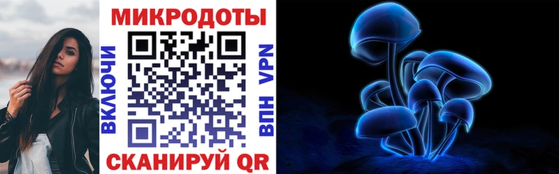 Купить закладки  Новоуральск  Псилоцибиновые грибы Magic Shrooms 
